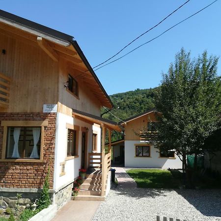 Guest House Carpathia Vişeu de Sus Zewnętrze zdjęcie