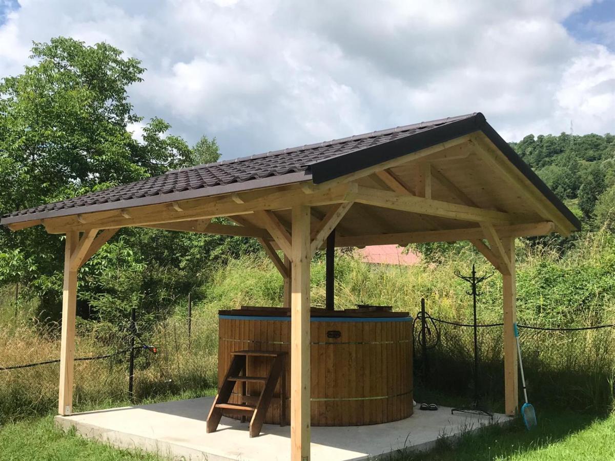 Guest House Carpathia Vişeu de Sus Zewnętrze zdjęcie