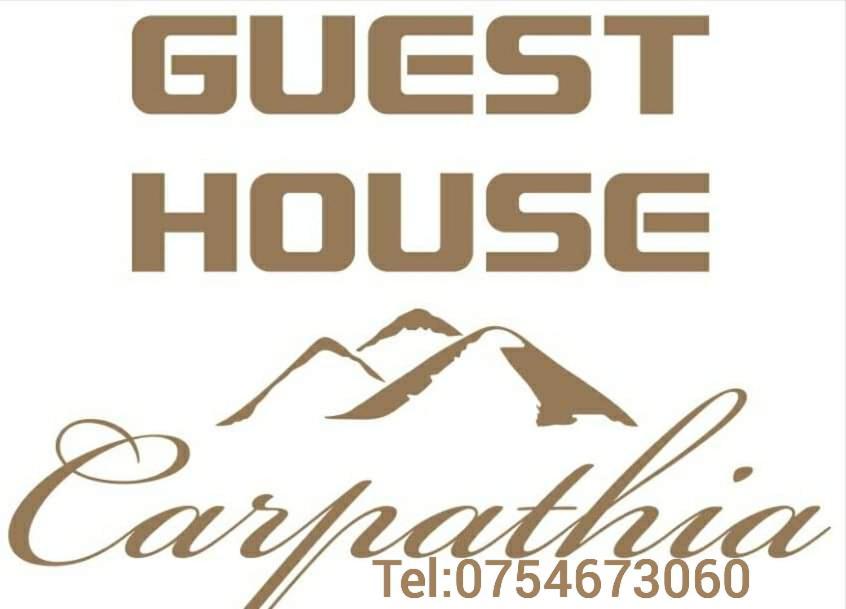Guest House Carpathia Vişeu de Sus Zewnętrze zdjęcie