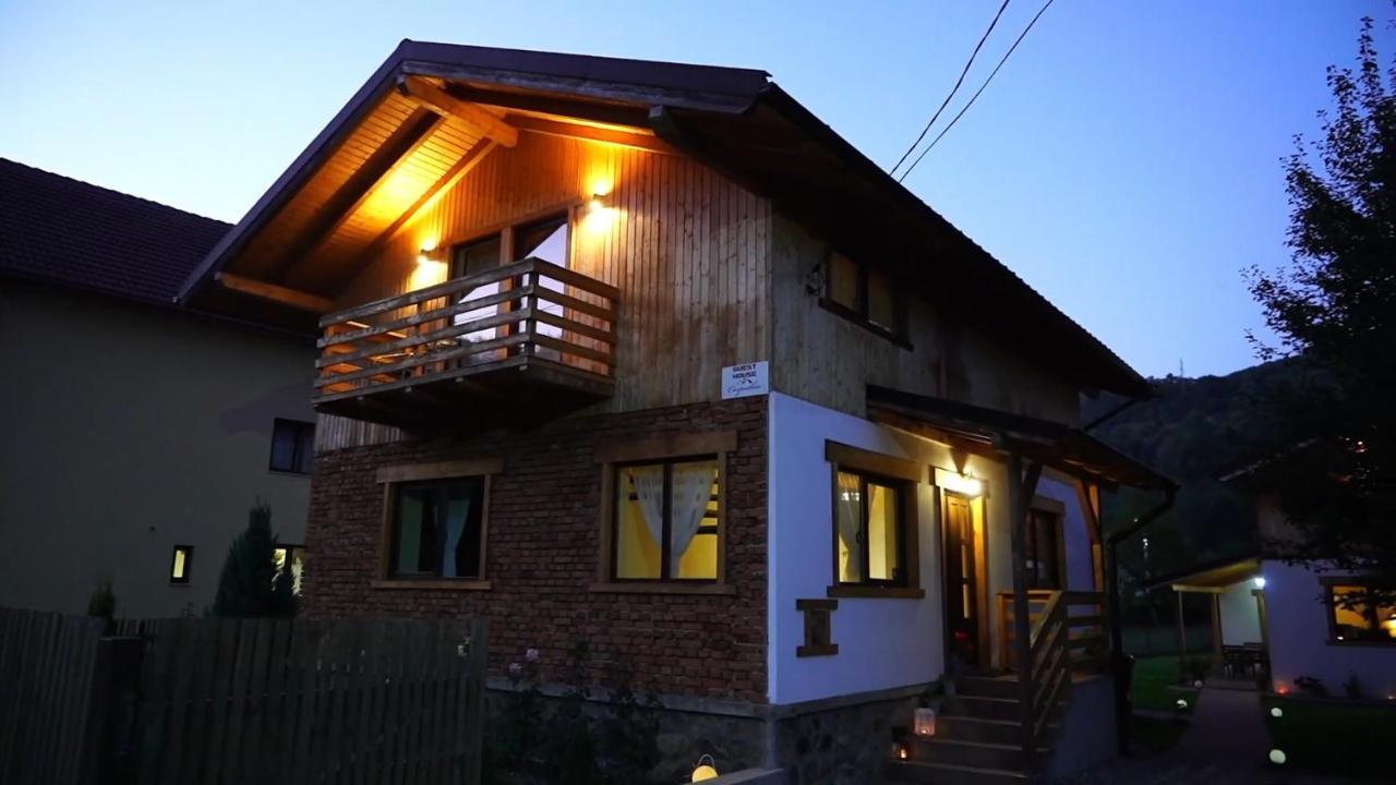 Guest House Carpathia Vişeu de Sus Zewnętrze zdjęcie