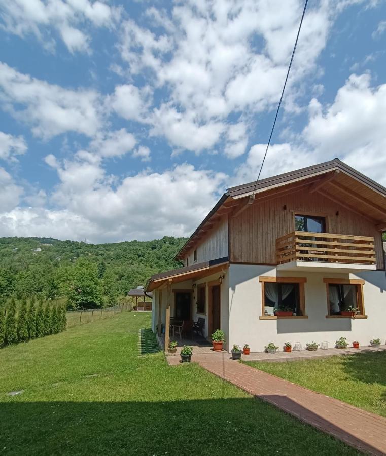 Guest House Carpathia Vişeu de Sus Zewnętrze zdjęcie