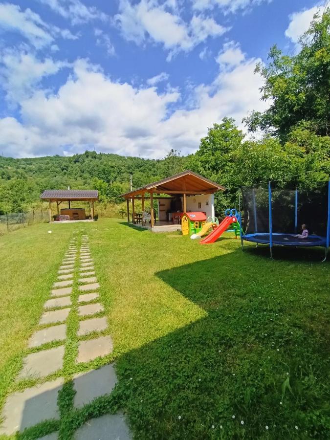 Guest House Carpathia Vişeu de Sus Zewnętrze zdjęcie