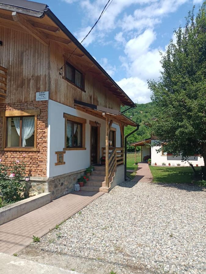 Guest House Carpathia Vişeu de Sus Zewnętrze zdjęcie