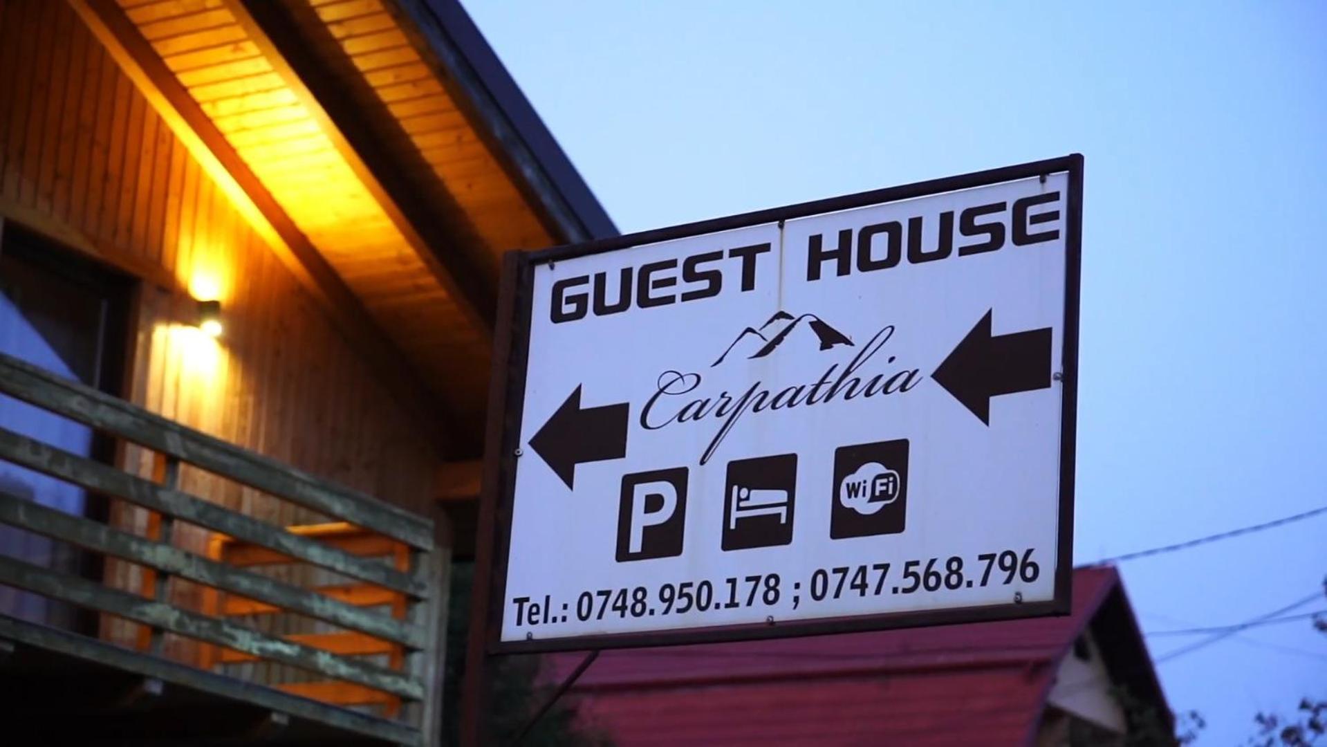 Guest House Carpathia Vişeu de Sus Zewnętrze zdjęcie