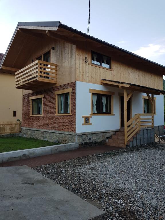 Guest House Carpathia Vişeu de Sus Zewnętrze zdjęcie
