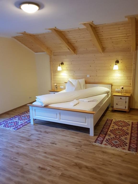 Guest House Carpathia Vişeu de Sus Zewnętrze zdjęcie