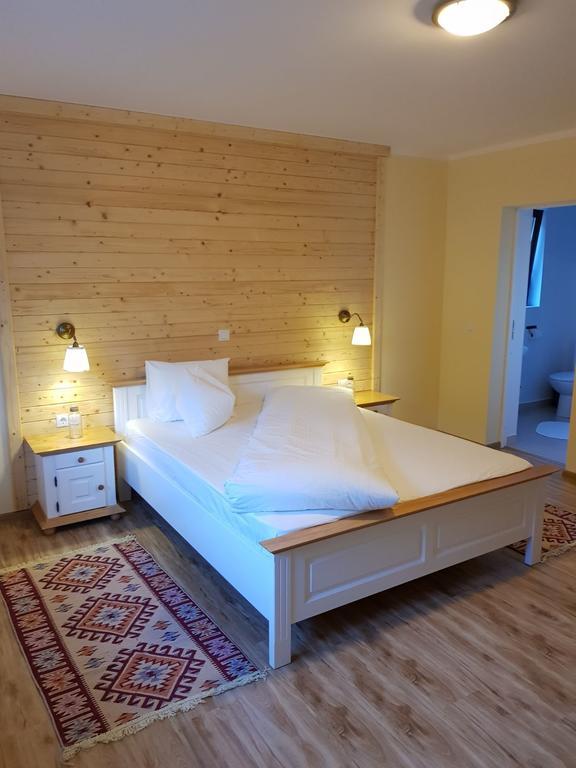 Guest House Carpathia Vişeu de Sus Zewnętrze zdjęcie