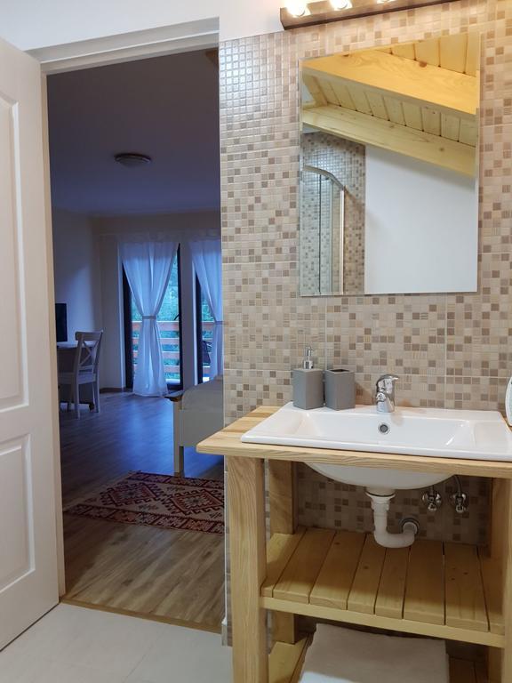 Guest House Carpathia Vişeu de Sus Zewnętrze zdjęcie
