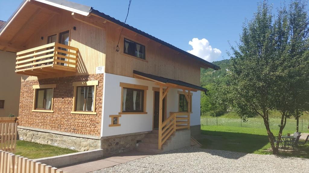 Guest House Carpathia Vişeu de Sus Zewnętrze zdjęcie
