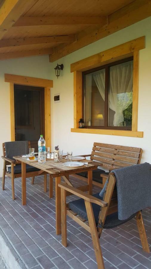 Guest House Carpathia Vişeu de Sus Zewnętrze zdjęcie