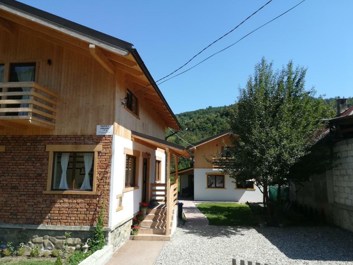 Guest House Carpathia Vişeu de Sus Zewnętrze zdjęcie