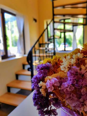Guest House Carpathia Vişeu de Sus Zewnętrze zdjęcie