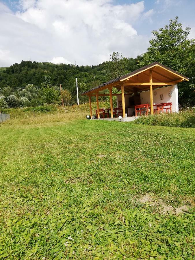 Guest House Carpathia Vişeu de Sus Zewnętrze zdjęcie